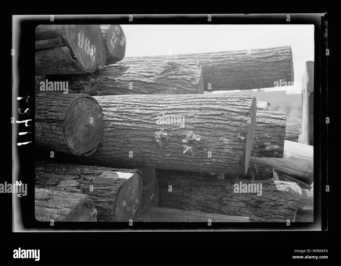 Stock of wood Black and White Stock Photos & Images Alamy