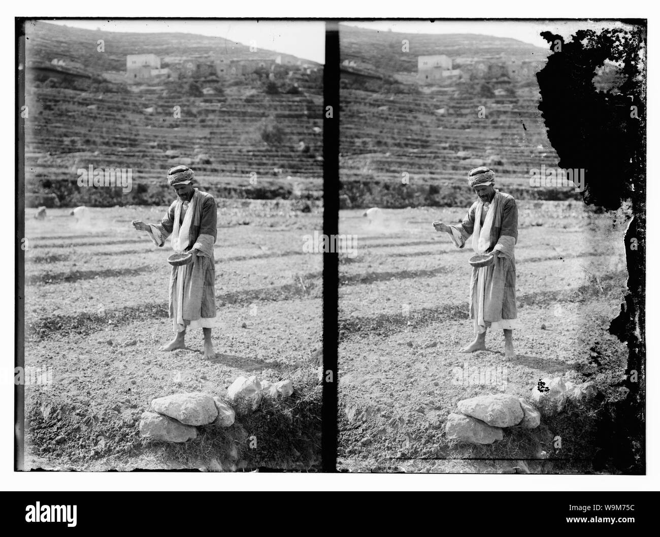 Arab peasant sowing grain Stock Photo Alamy