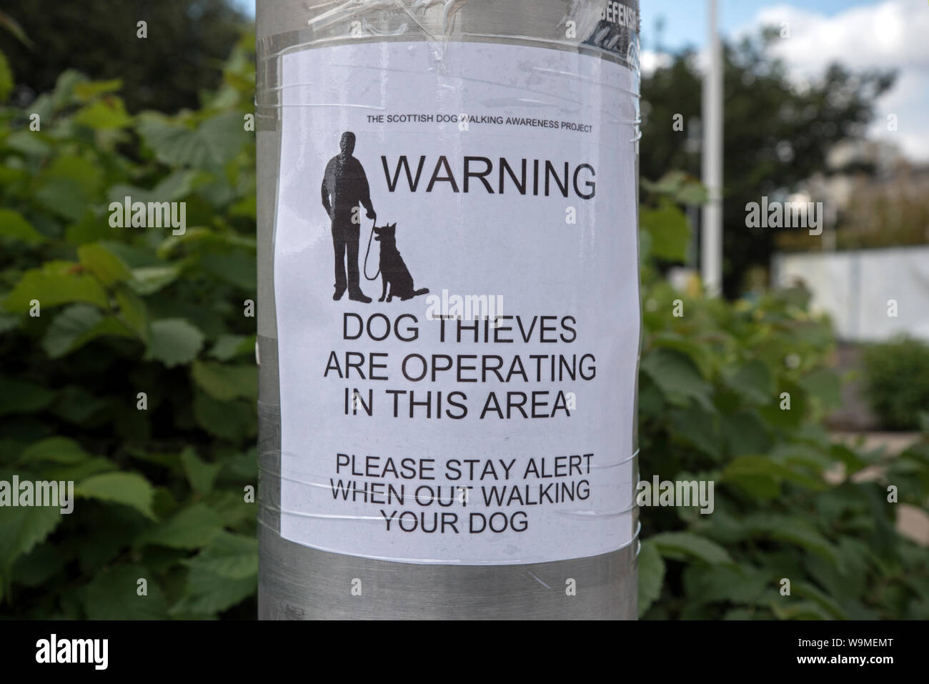 Dog theft hi-res stock photography and images - Alamy