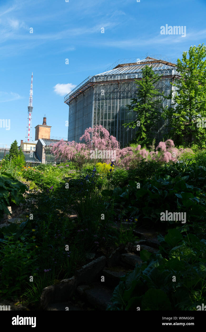 Peter the Great Botanical Garden ,Glass House and Lenin botanic garden