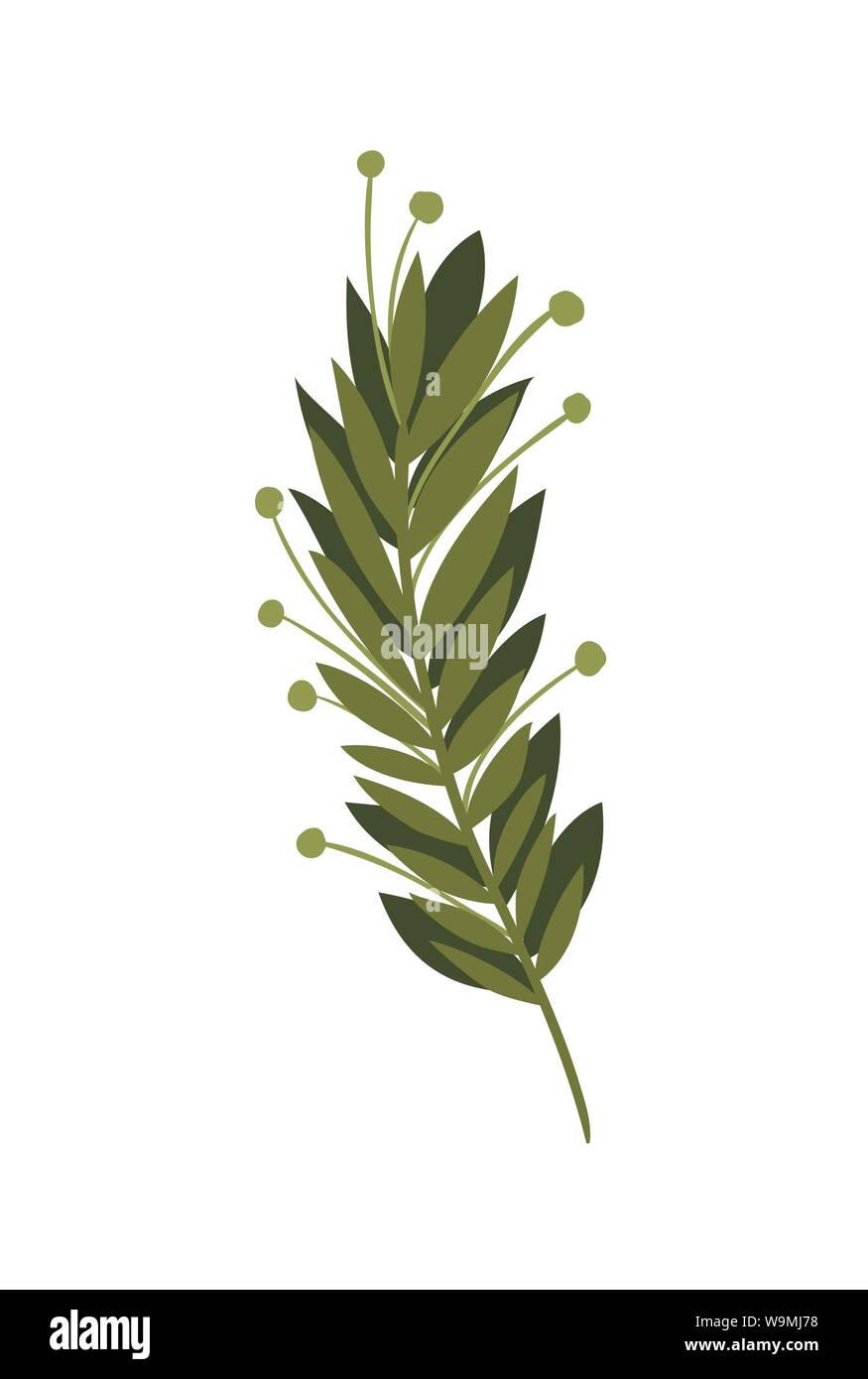 branch with leaves isolated icon Stock Vector Image & Art - Alamy
