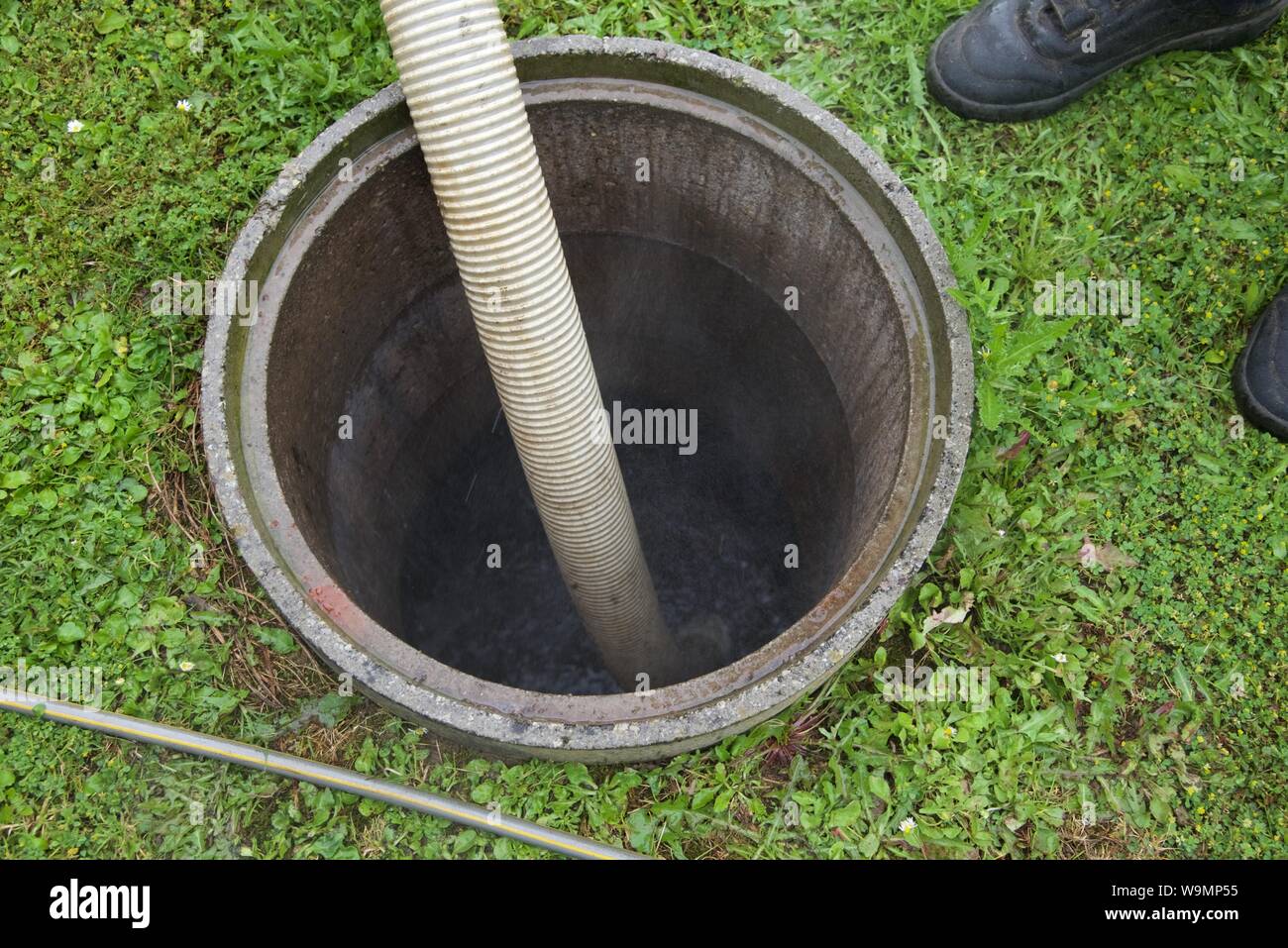 Septic tank the removal of sewage sludge and cleaning of a domestic