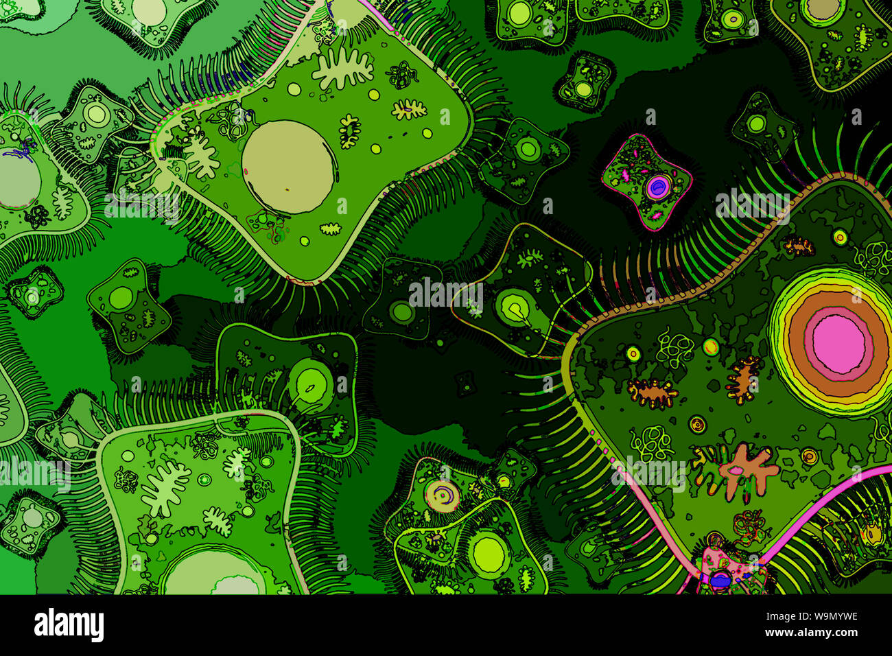 Synthetic Bacteria High Resolution Stock Photography and Images Alamy