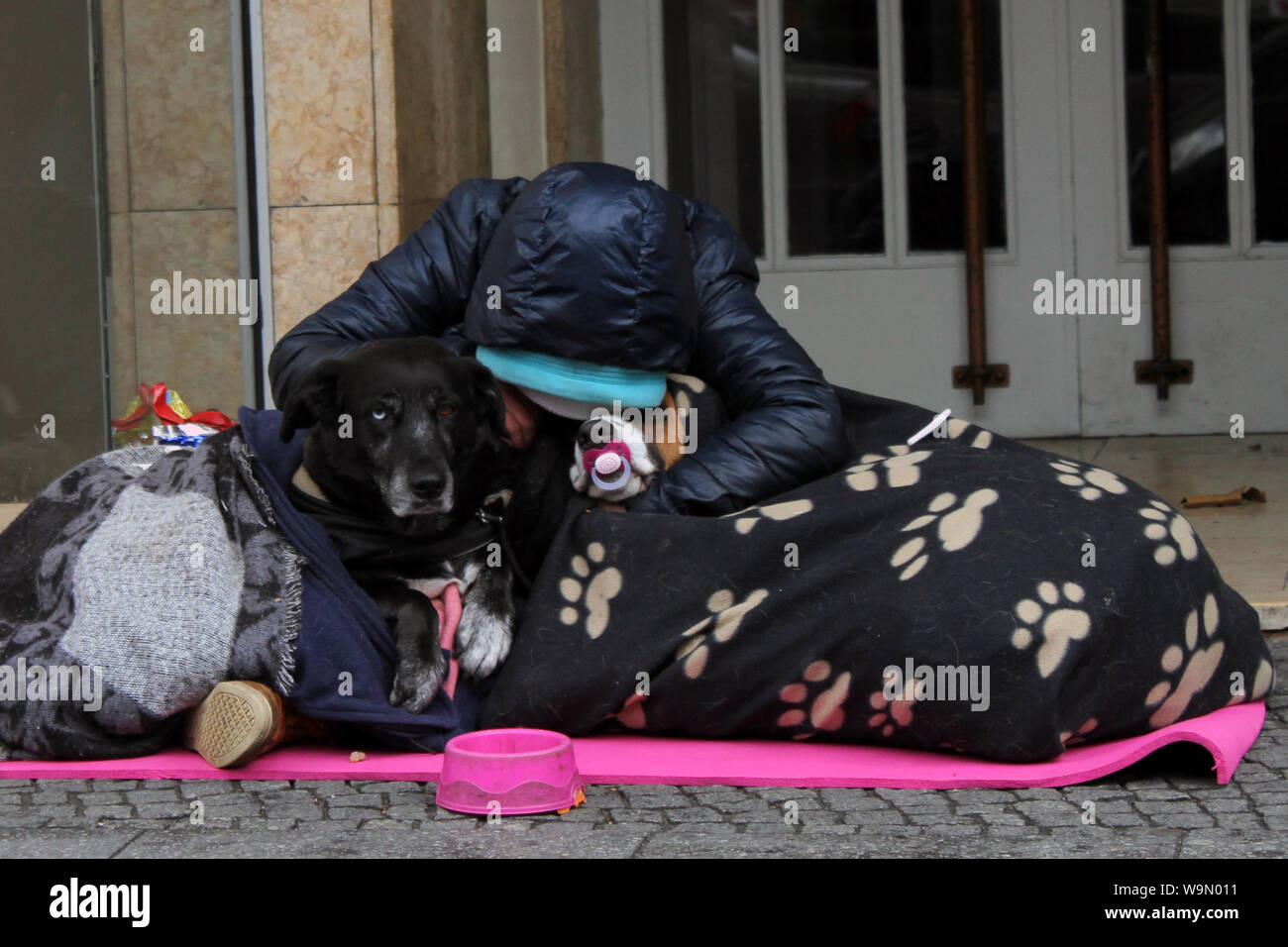 Lady tramp with two dogs in the streets of Berlin. one of the dogs has a baby pacifier, the other two-colored eyes Stock Photo