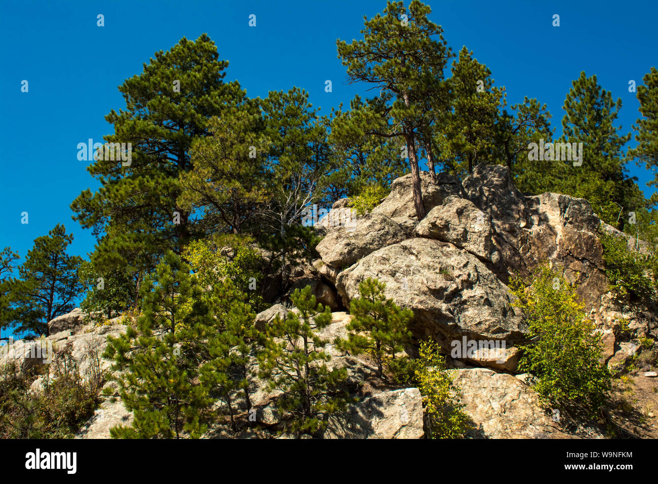beautiful rocky mountain with green trees , South Dakota USA Stock