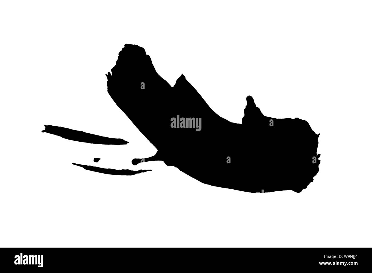 Black ink splash , splatter on white paper. Bold organic paint brush