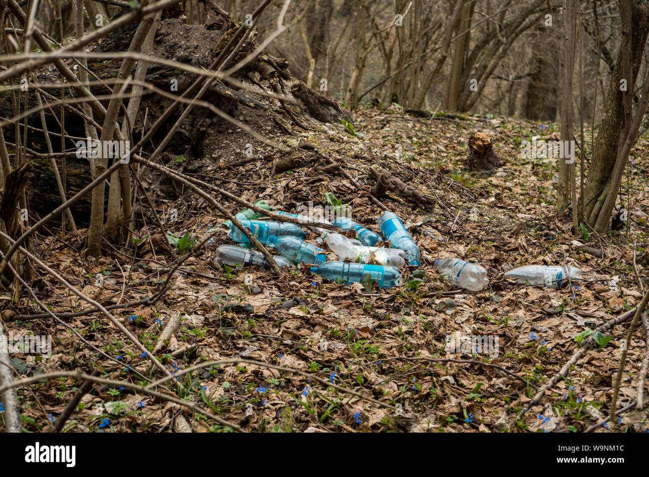flooded by plastic bottles place in wild forest near the nature spring water source Stock Photo