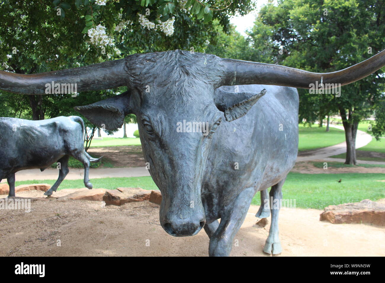 Bull sculpture in Waco Texas Stock Photo