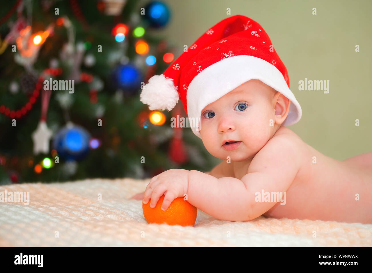Newborn baby lying on Christmas tree background with orange. Lying on his stomach with an orange. Xmas holiday. Child costume. Santa boy. Christmas tr Stock Photo