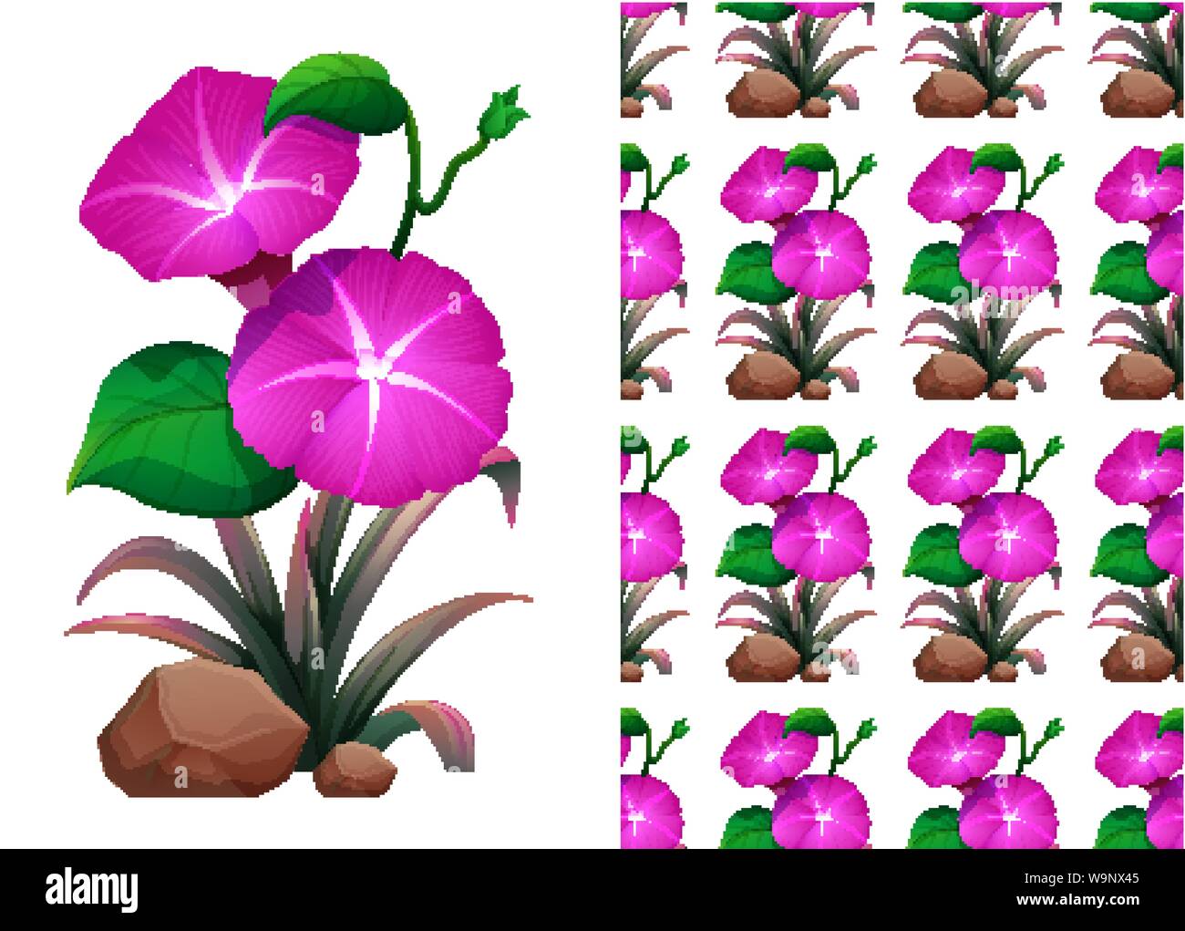 Seamless background design with pink morning glory flowers illustration ...