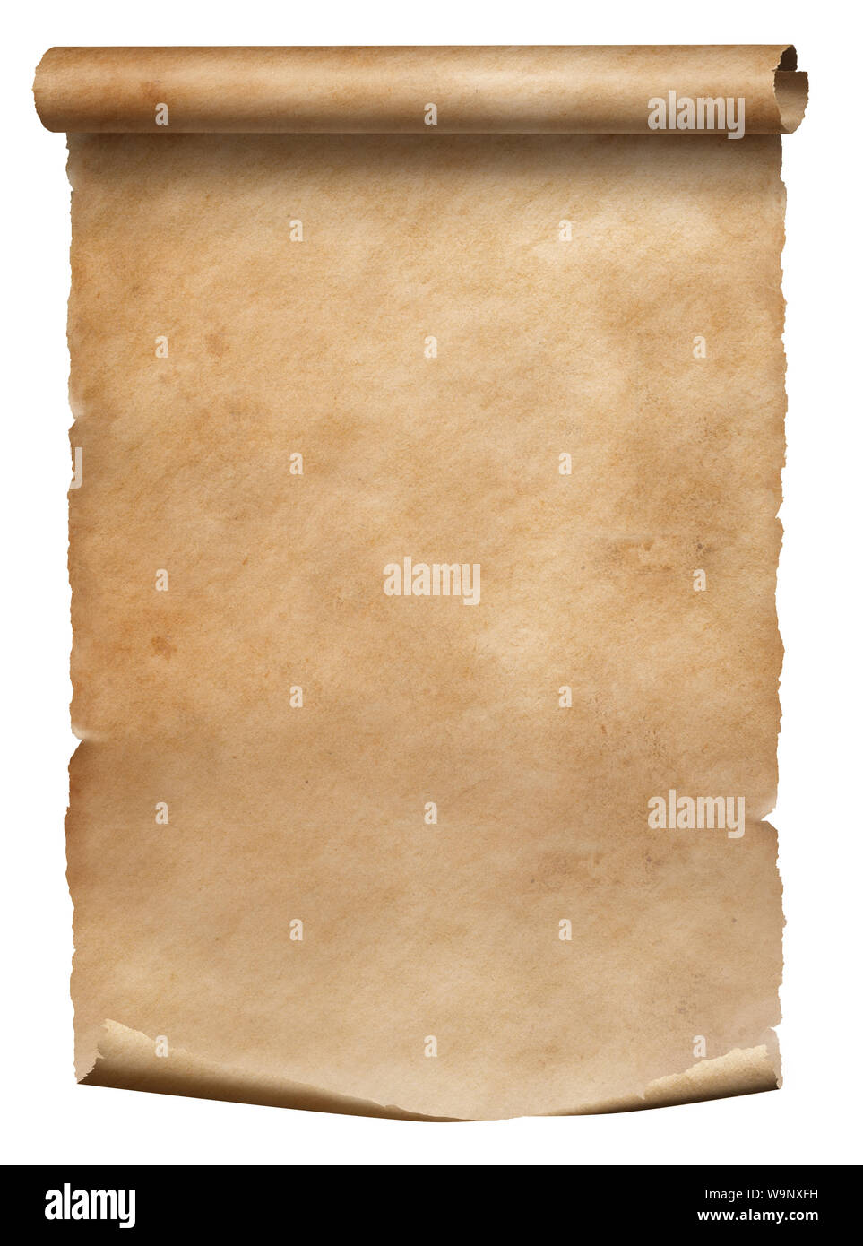 Old parchment diploma scroll isolated on white Stock Photo Alamy