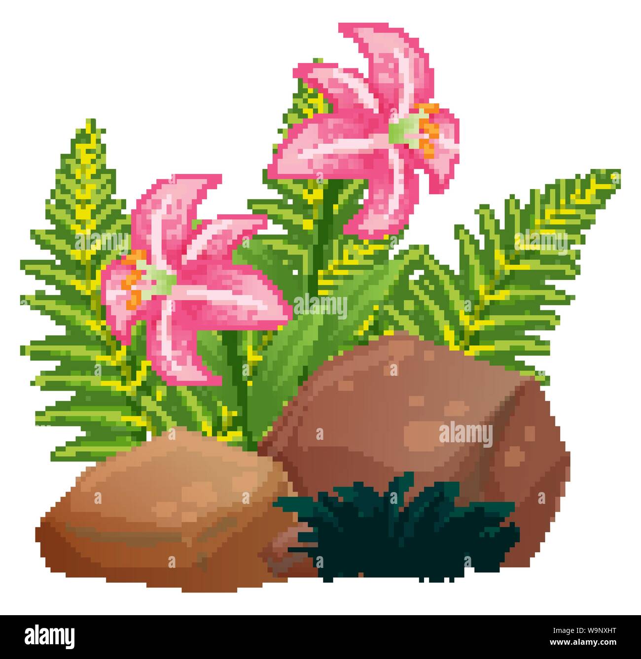 Pink lily flowers and rocks on white background illustration Stock Vector