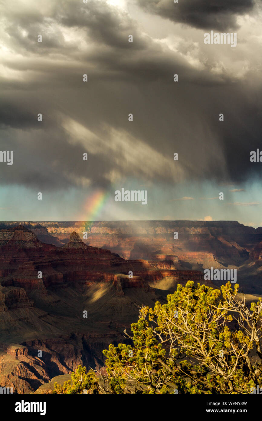 Storm forming a rainbow over Grand Canyon National Park Stock Photo - Alamy