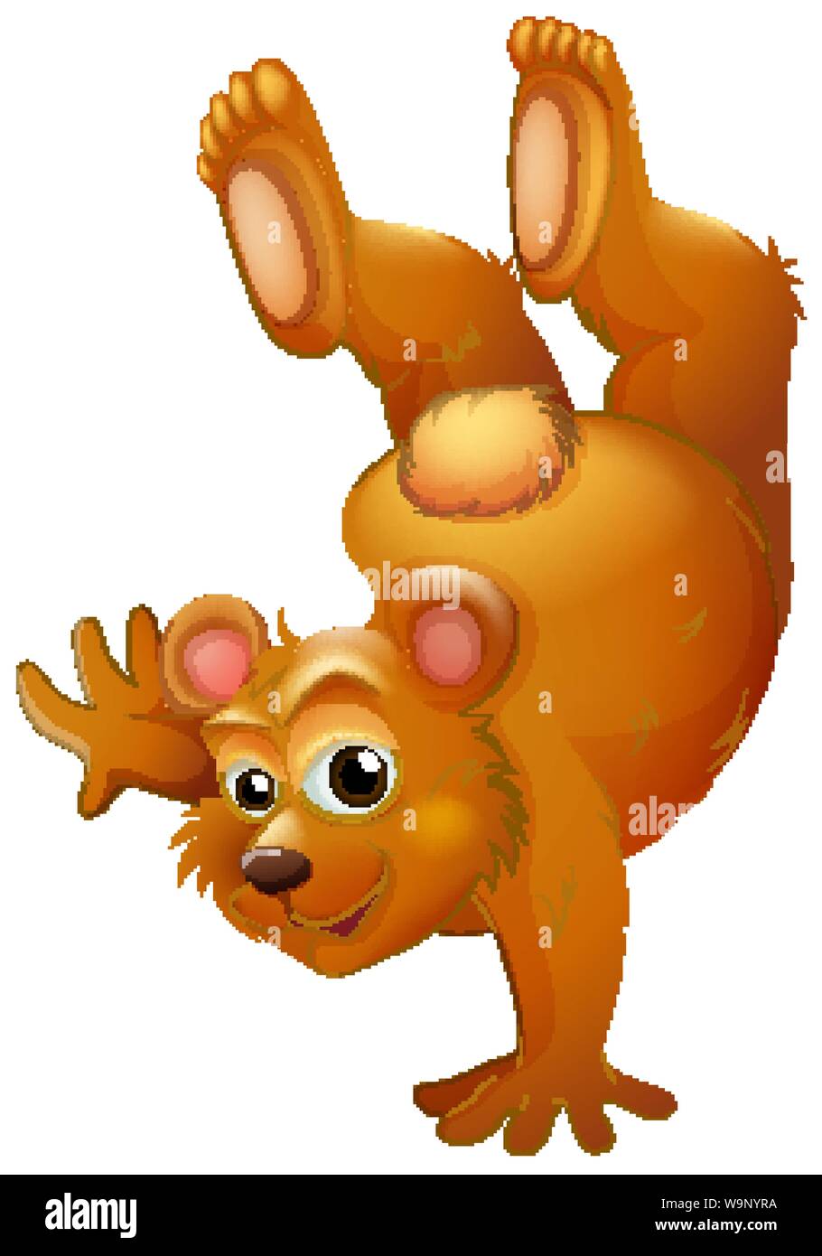 Brown bear handstanding on white background illustration Stock Vector ...