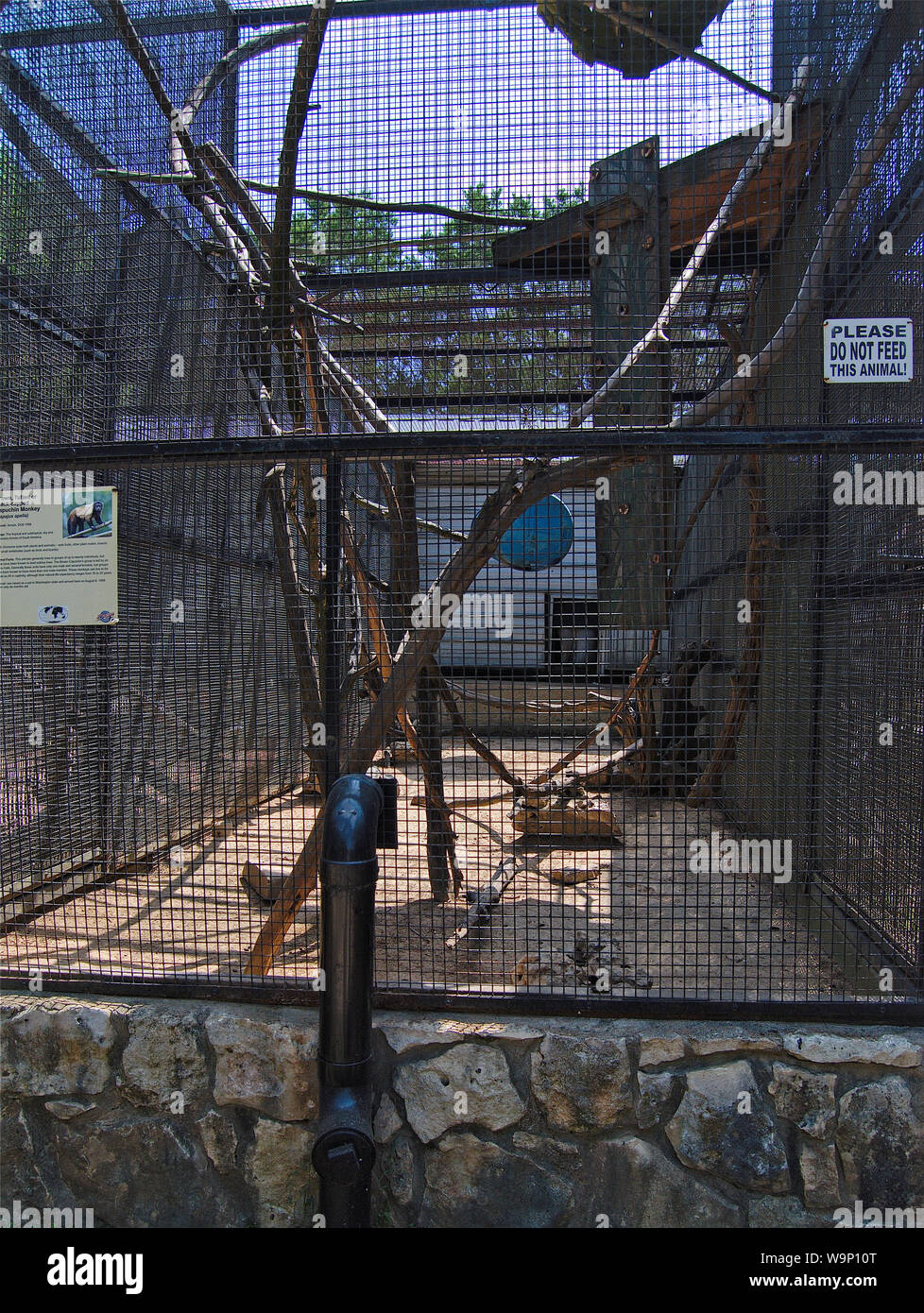 Monkey cage at the zoo Stock Photo Alamy