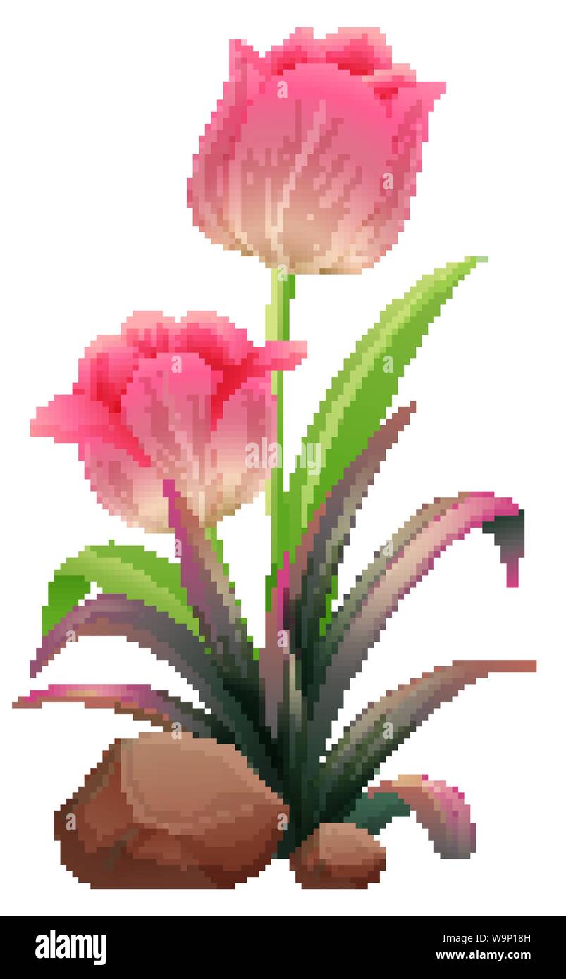 Pink tulips on white background illustration Stock Vector Image & Art ...