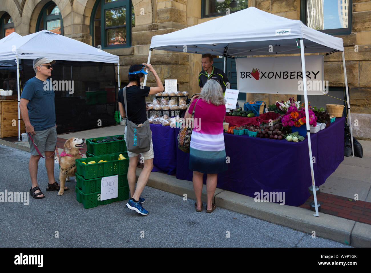 A vendor in the Broxonberry booth at Fort Wayne's Farmers' Market promotes his products to customers in downtown Fort Wayne, Indiana, USA. Stock Photo