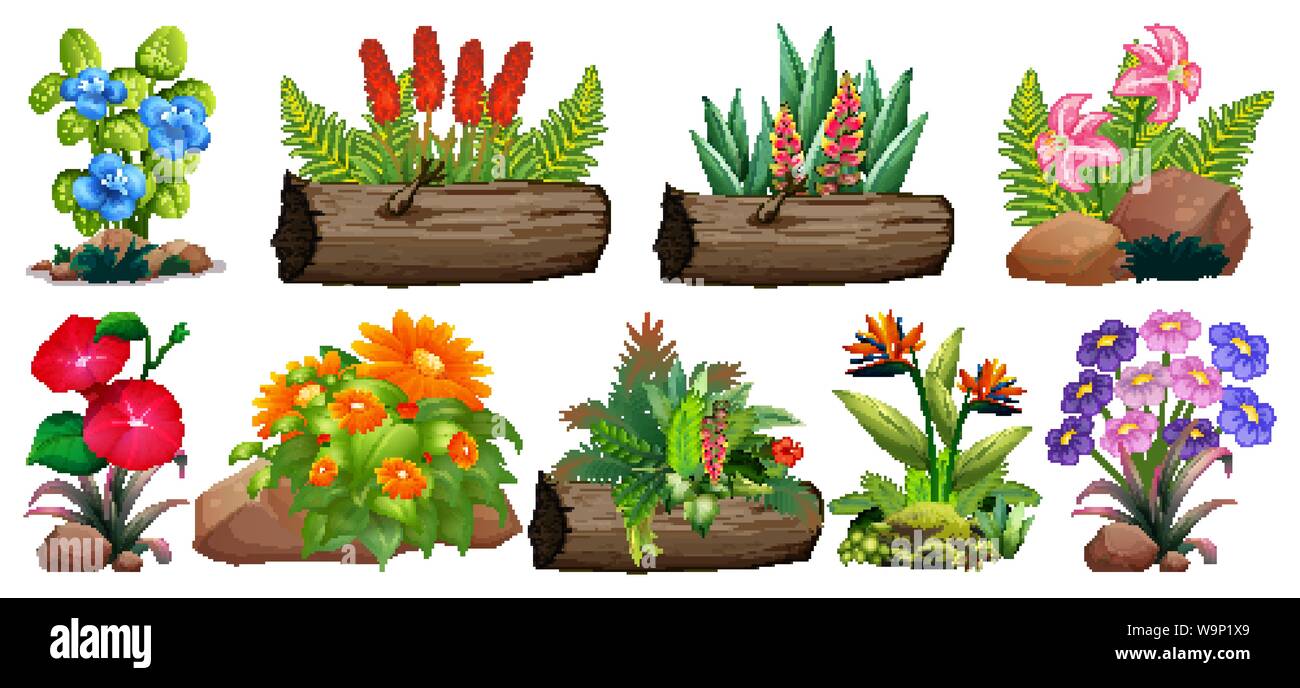 Large set of colorful flowers on rocks and wood illustration Stock Vector