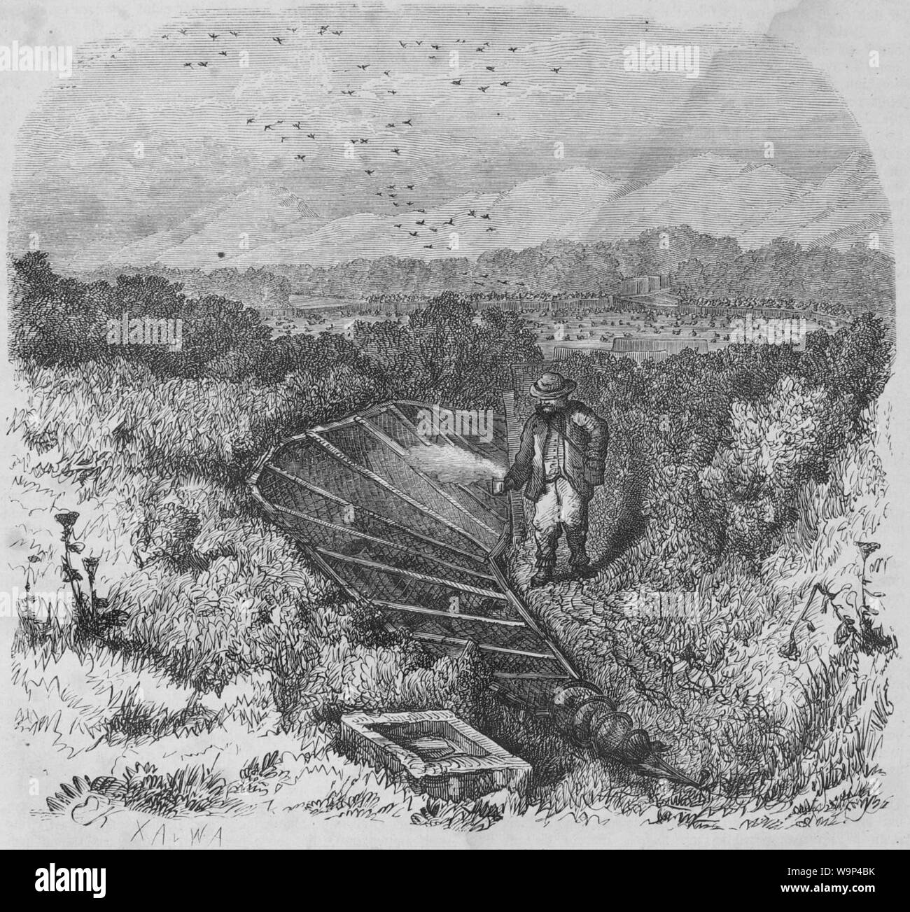 Die Gartenlaube (1866) b 125 Stock Photo Alamy