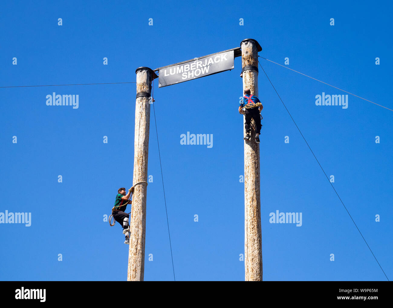 Two lumberjacks competing in a tree climbing competition at the Lumberjack Show on Grouse Mountain, North Vancouver, British Columbia, Canada. Stock Photo