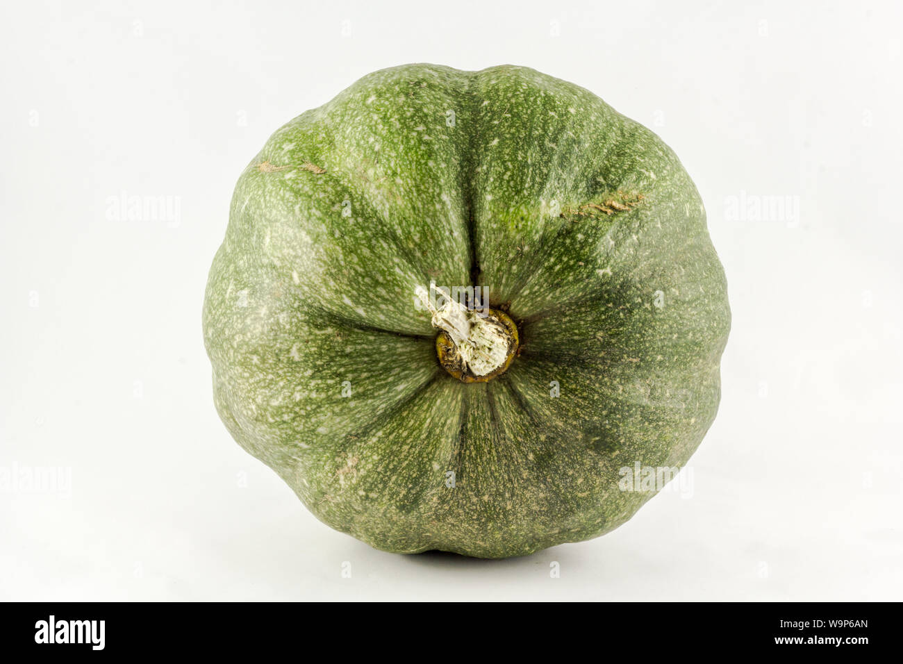 Pumpkin isolated on white background Stock Photo - Alamy