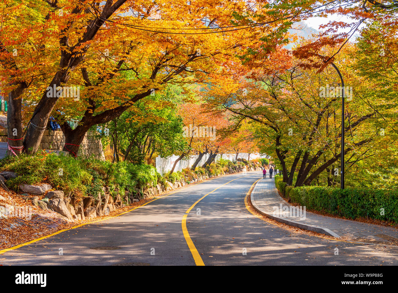 Autumn of Namsan Tower in Seoul,South Korea. Stock Photo