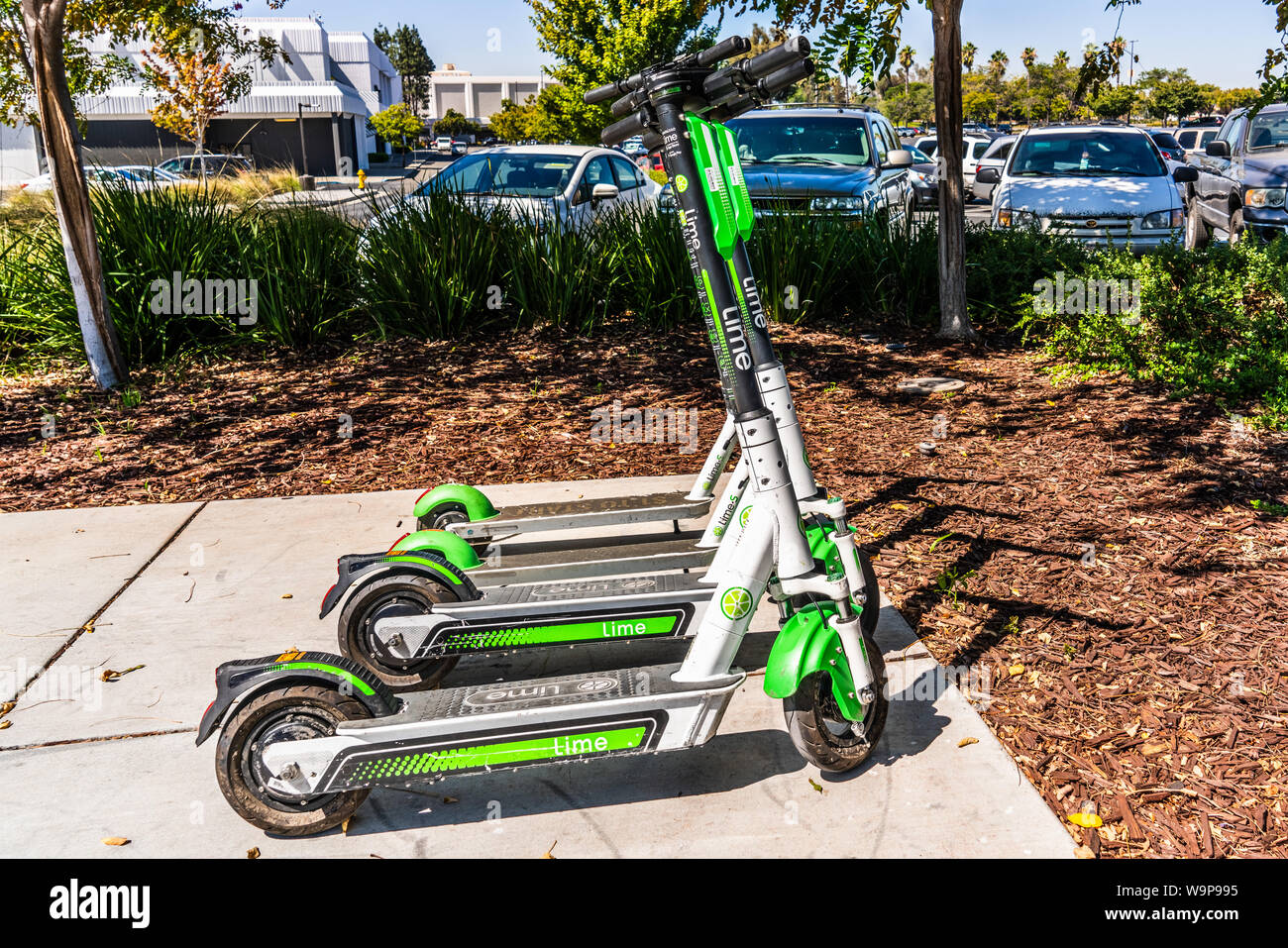 August 14, 2019 San Jose / CA / USA - Lime Electric Scooters parked near a public transit center in order to cover the last-mile; Lime is the brand na Stock Photo
