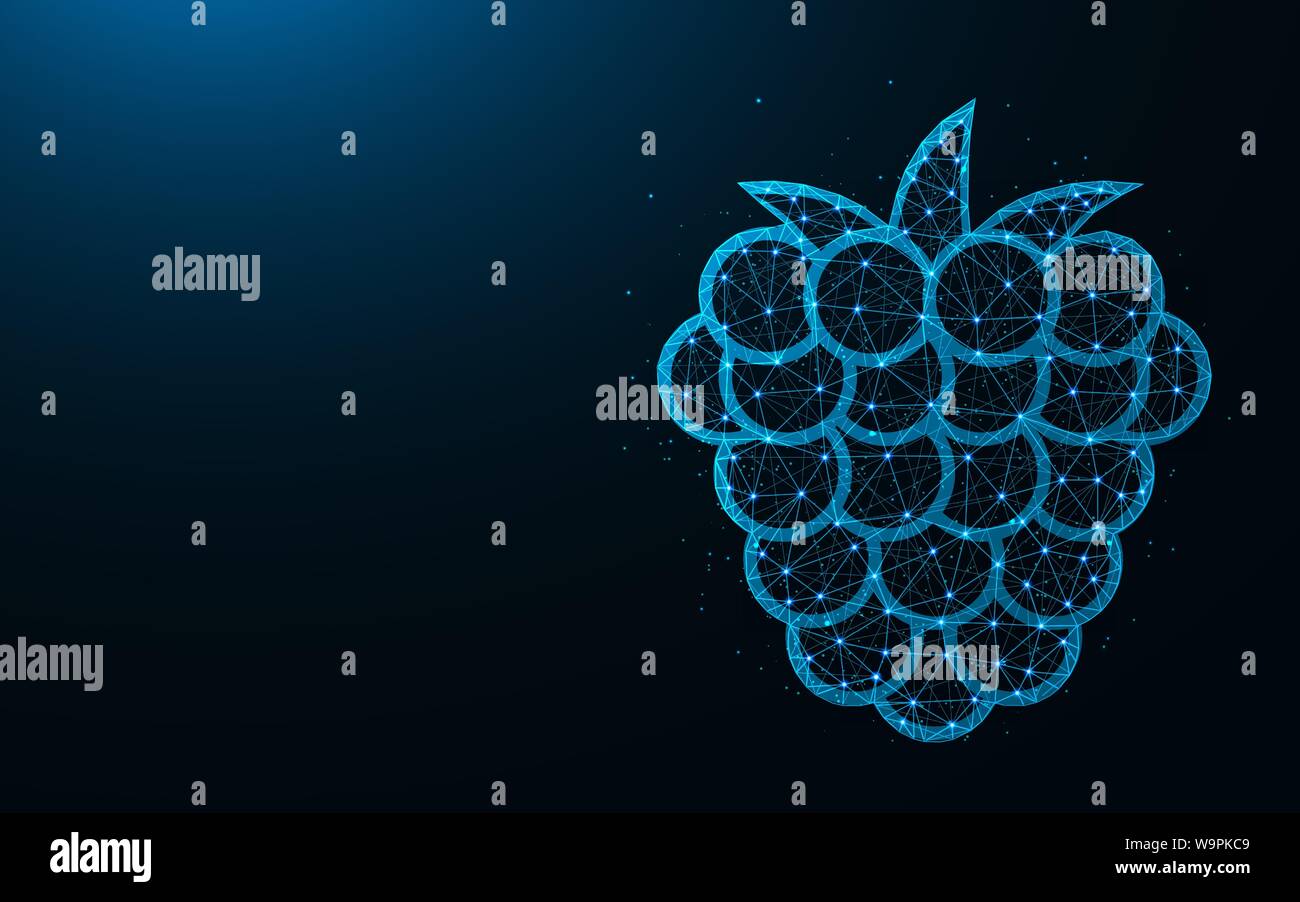 Raspberries low poly design, fruit abstract geometric image, berries ...