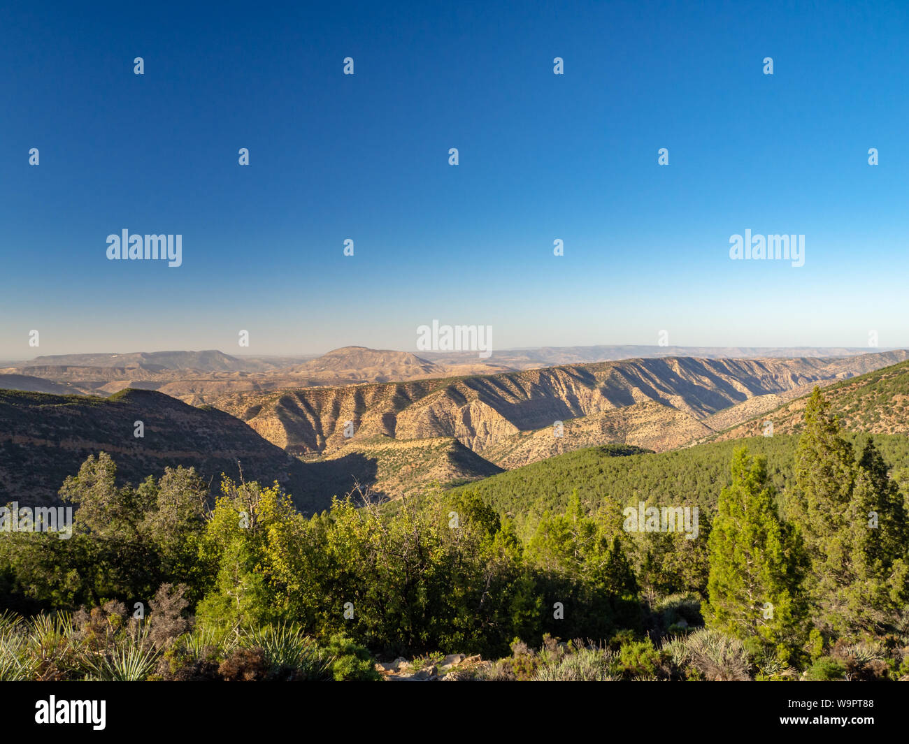 Agadir, Morocco, North Africa [Moroccan mountain landscape, rural village  farm and house, green nature in winter] Stock Photo - Alamy