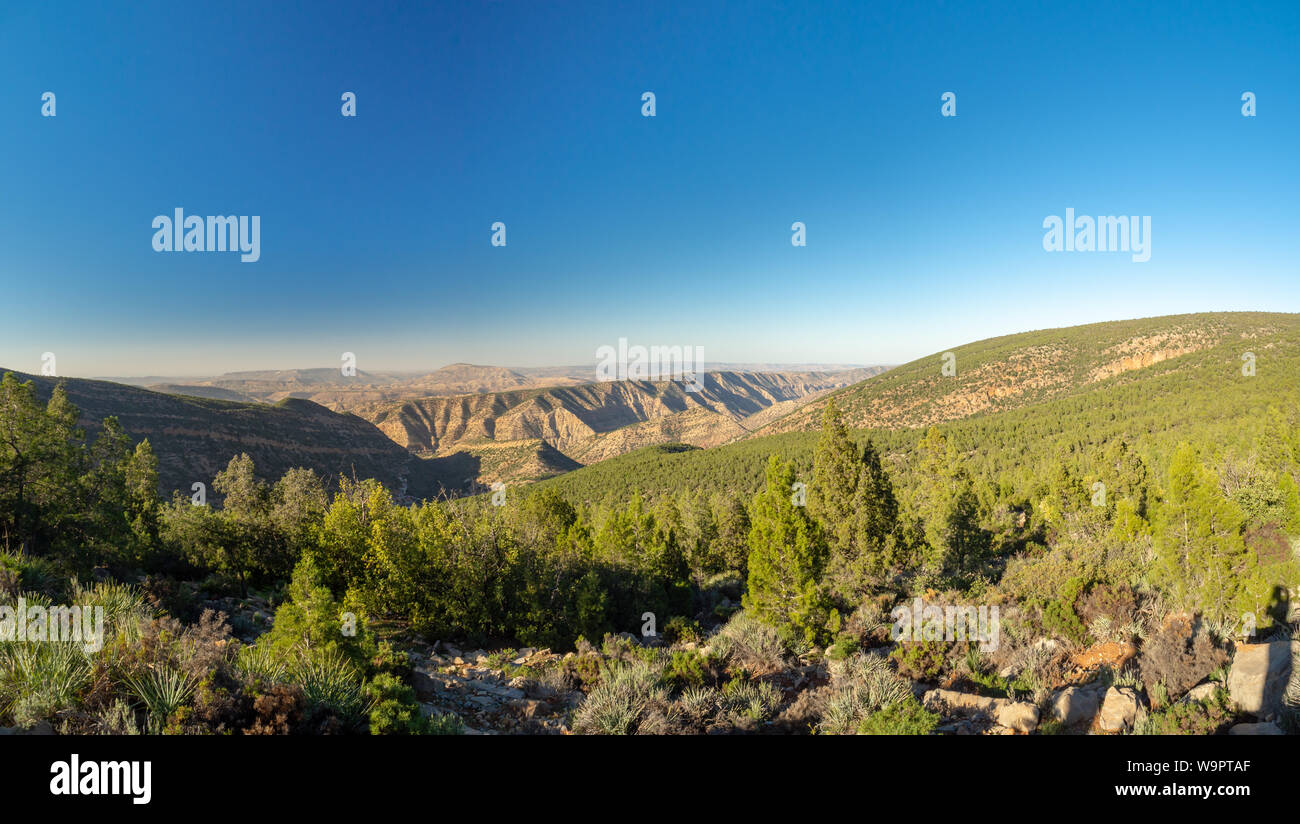 skrubbe En del Betydning Agadir, Morocco, North Africa [Moroccan mountain landscape, rural village  farm and house, green nature in winter] Stock Photo - Alamy