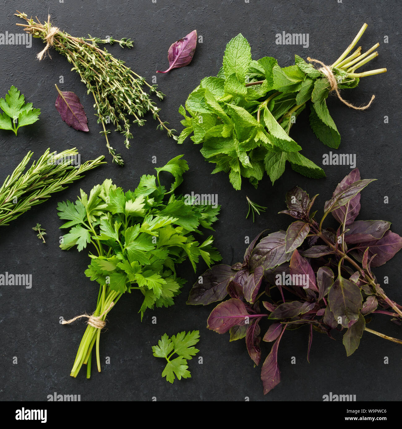 Basil parsley rosemary bunch hires stock photography and images Alamy