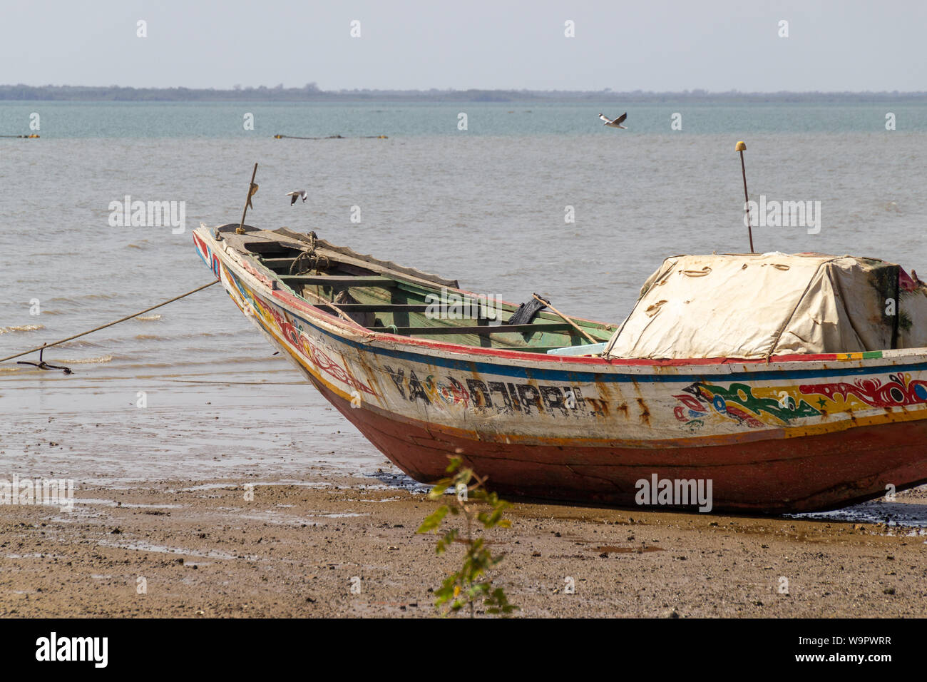 JUFUREH, GAMBIA- JAN 12, 2014: Boats are used for fishing and transport of locals Stock Photo