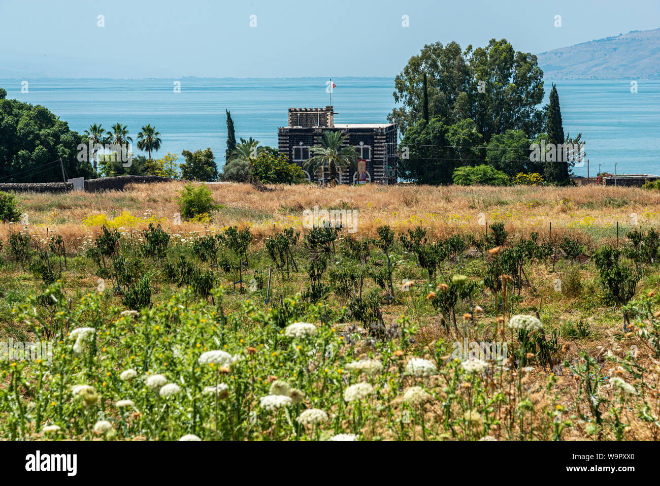 Capernaum, Israel, May 18 2019 : Capharnaum The Town Of Jesus at the shore of the Sea of Galilee Stock Photo