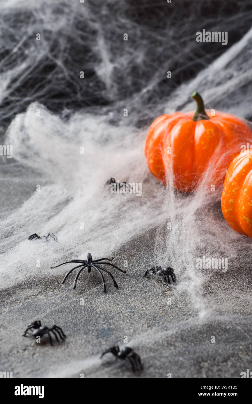 Halloween background with colorful pumpkins and spider web Stock Photo ...