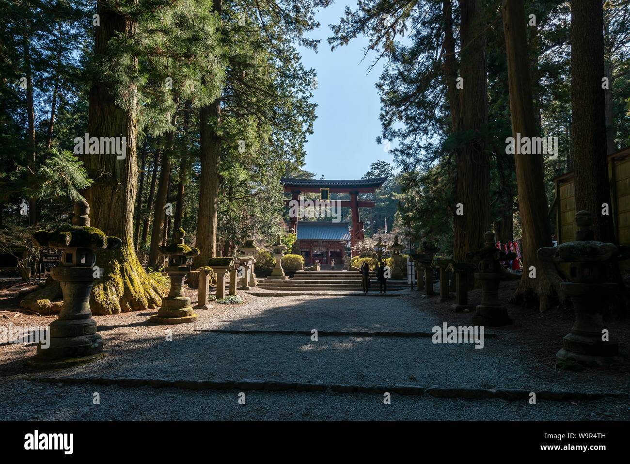 Great Torii Gate, Kitaguchi-hongu Fuji Singeing Shrine, Shinto Shrine, Fujiyoshida, Yamanashi Prefecture, Japan Stock Photo