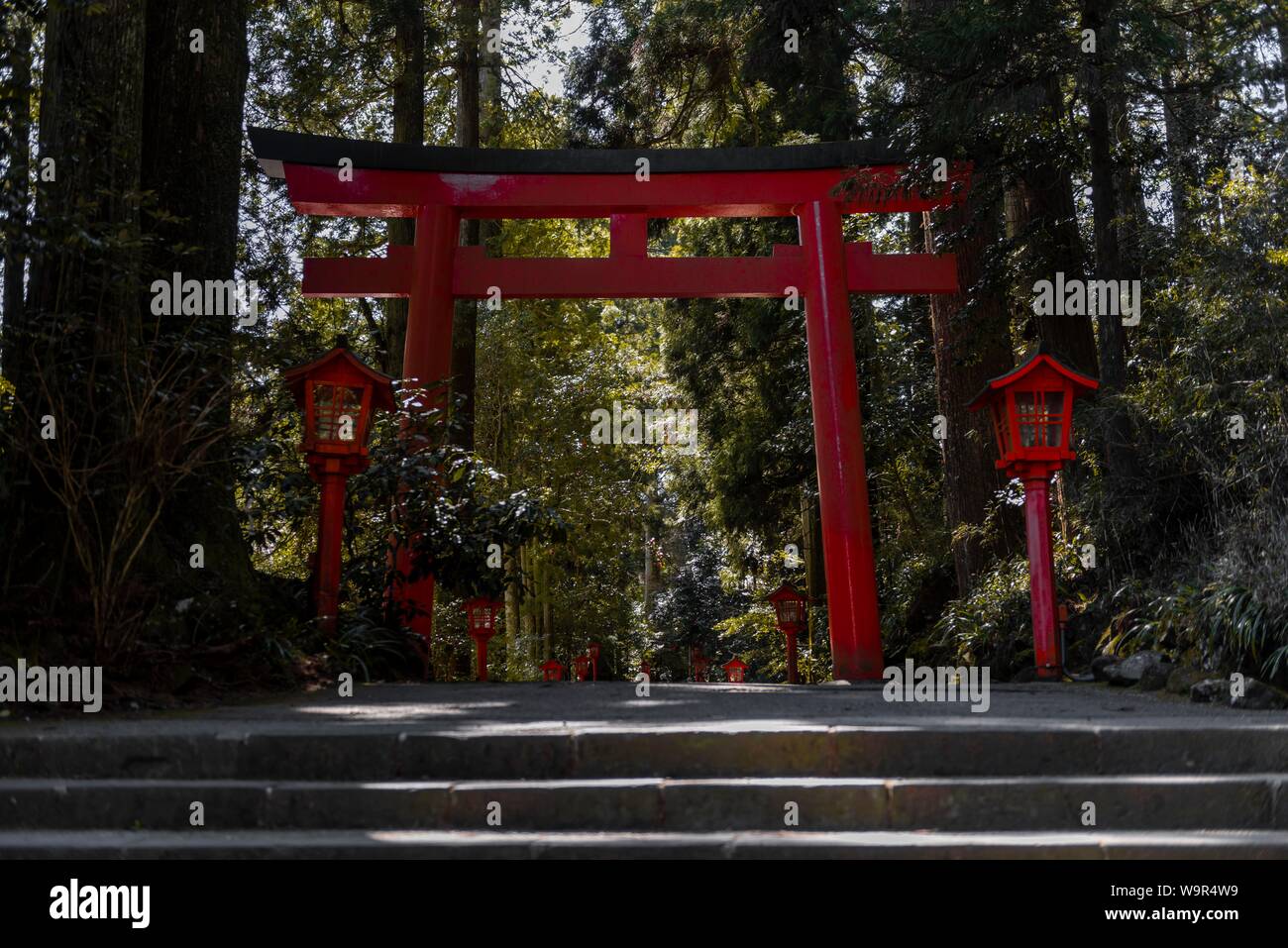 Torii Gate, Hakone Shrine, Shinto Shrine, Hakone, Fuji Hakone Izu National Park, Japan Stock Photo