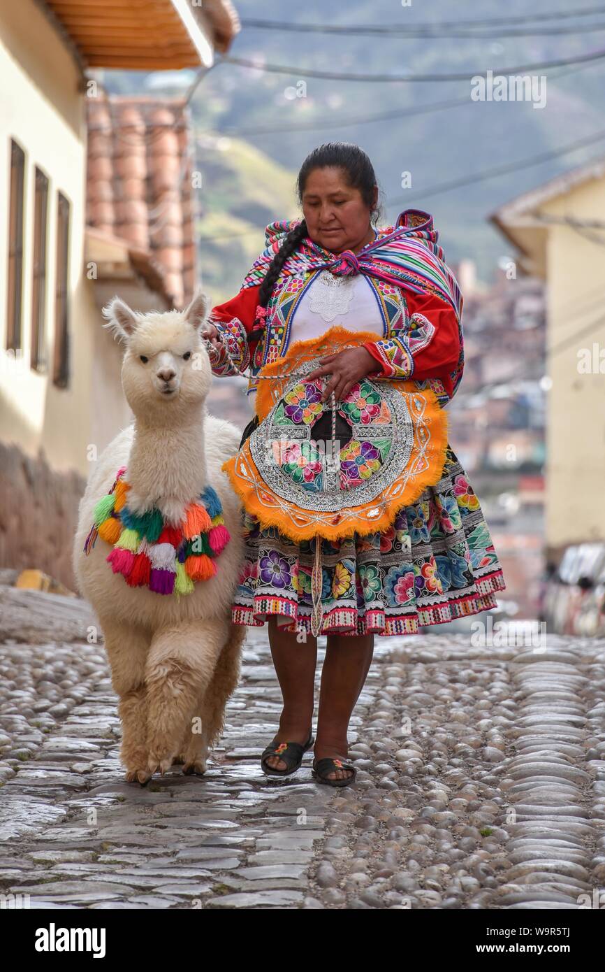 Local woman in traditional costume with a decorated Alpaca (Vicugna pacos),  Old Town, Cusco, Peru Stock Photo - Alamy