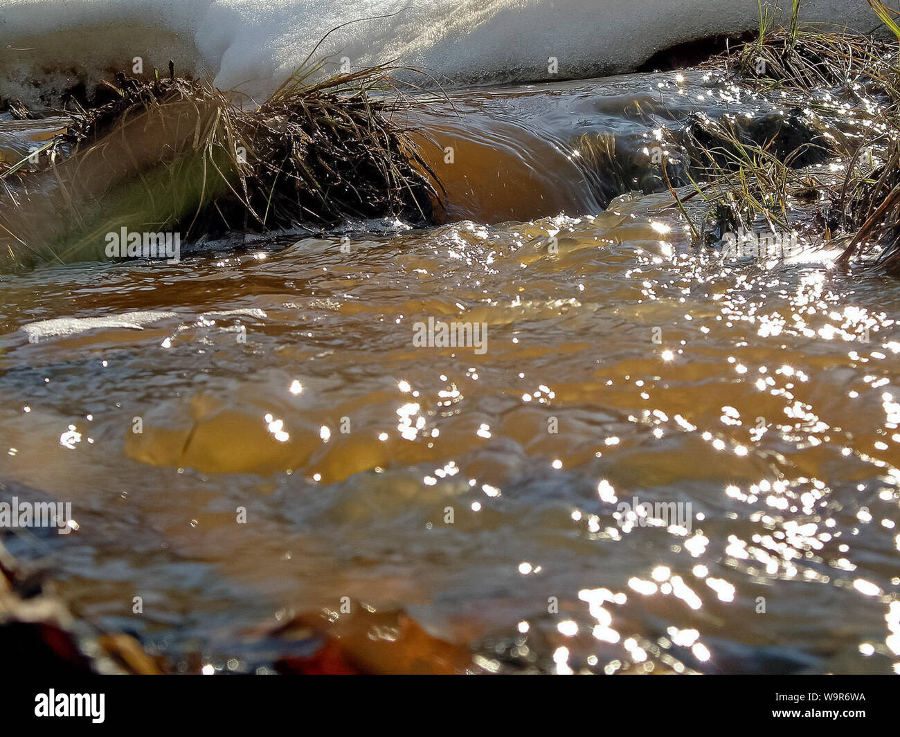 Streams of water in a small river. The flow of water Stock Photo - Alamy