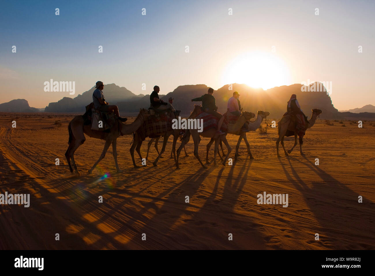 Tourist riding camels, desert, Arabia, Jordan, Wadi Rum, (Camelus dromedarius) Stock Photo
