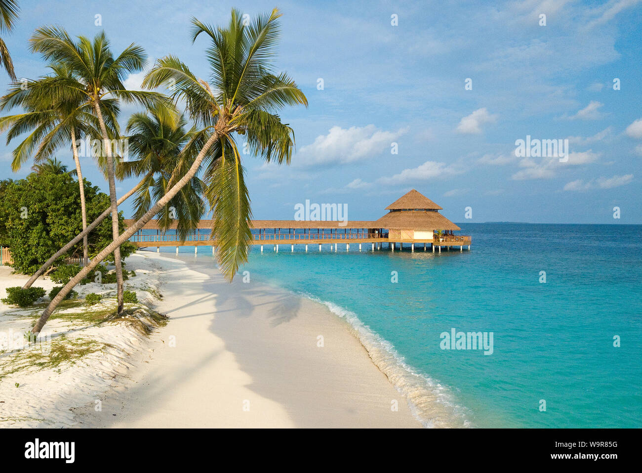 Maldive Island of Filaidhoo, beach, lagoon, palm tree, coconut tree, Raa Atoll, Maldives, Asia, Filaidhoo, (Cocos nucifera) Stock Photo