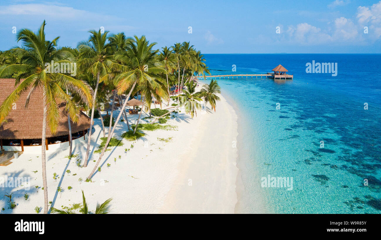 Maldive Island of Filaidhoo, beach, lagoon, palm tree, coconut tree, Raa Atoll, Maldives, Asia, Filaidhoo, (Cocos nucifera) Stock Photo