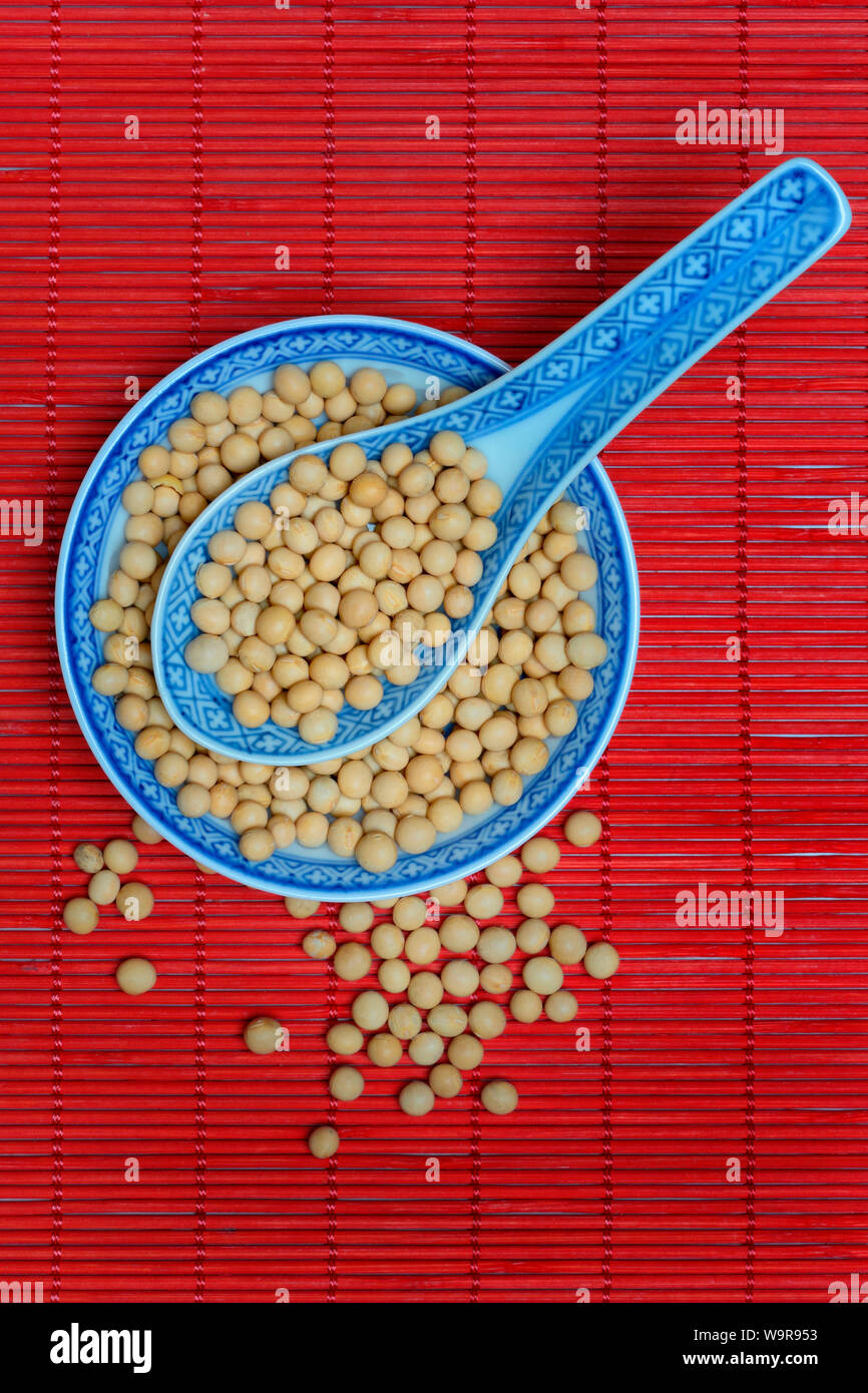 soy beans in bowl, Glycine max Stock Photo