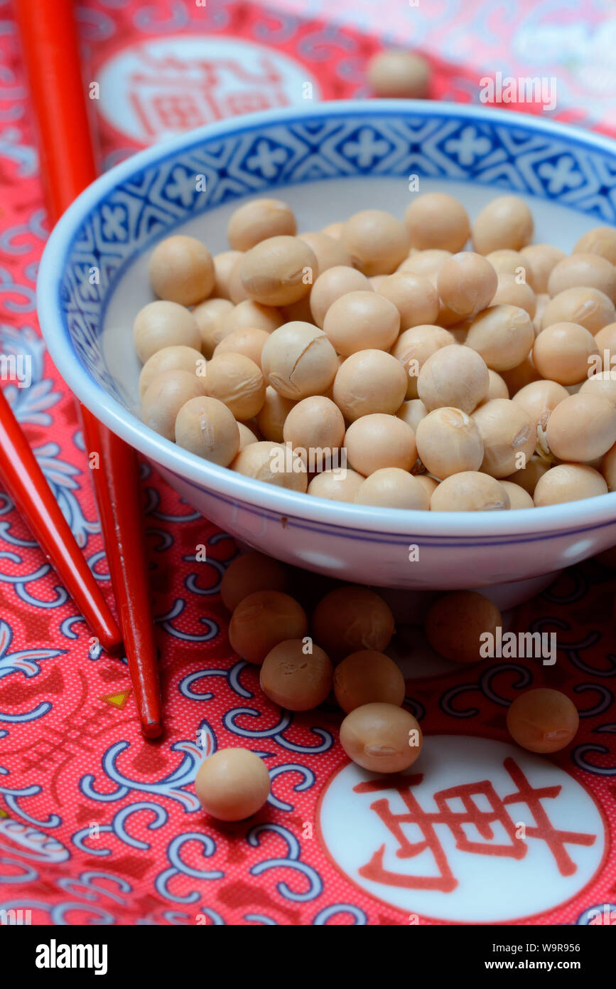 soy beans in bowl, Glycine max Stock Photo