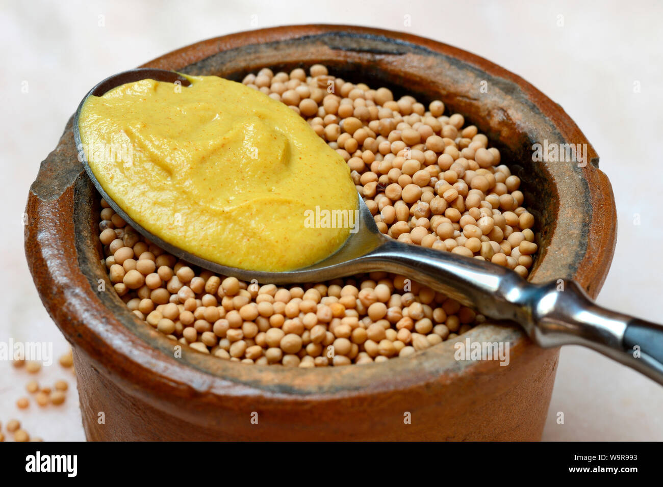 mustard seed and mustard Stock Photo