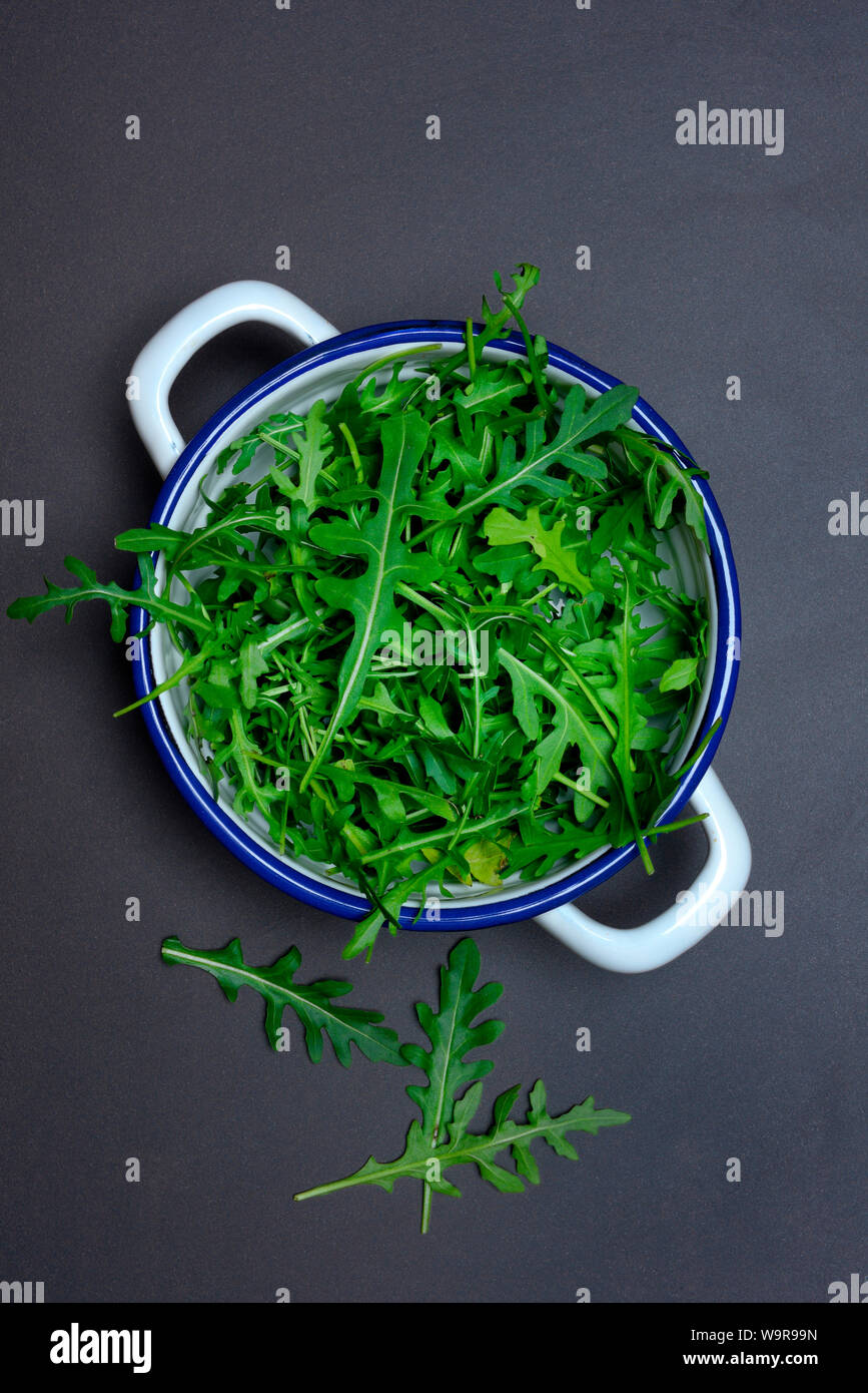 Rucola Rucolasalat In Schale Rauke Blattsalat Eruca Vesicaria Sativa Stock Photo Alamy