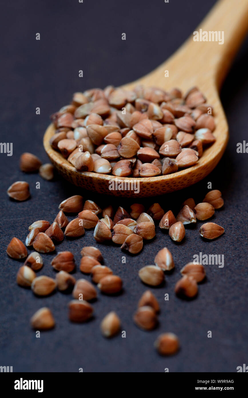 buckwheat in wooden spoon, Polygonum fagopyrum Stock Photo