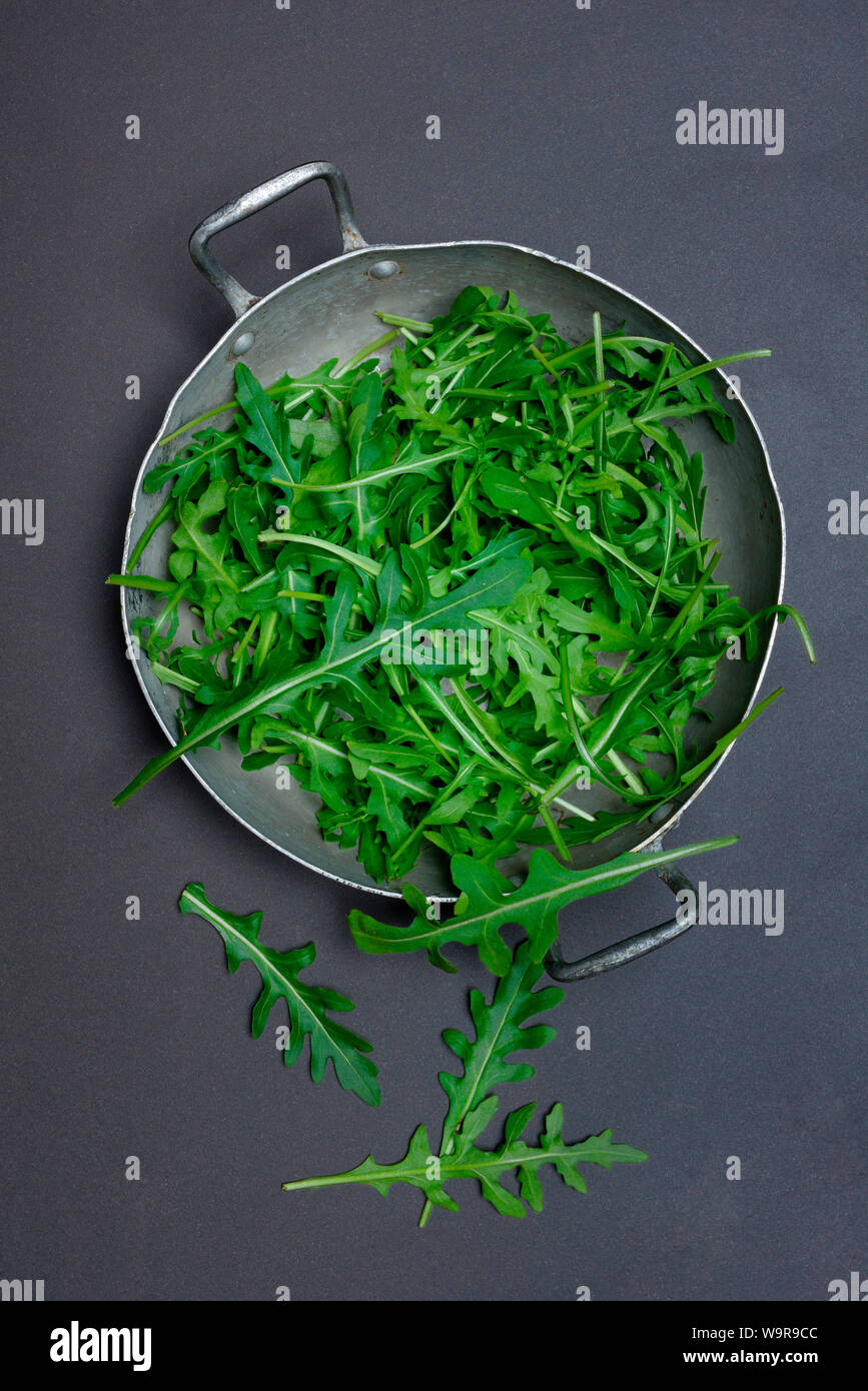 Rucola Rucolasalat In Schale Rauke Blattsalat Eruca Vesicaria Sativa Stock Photo Alamy