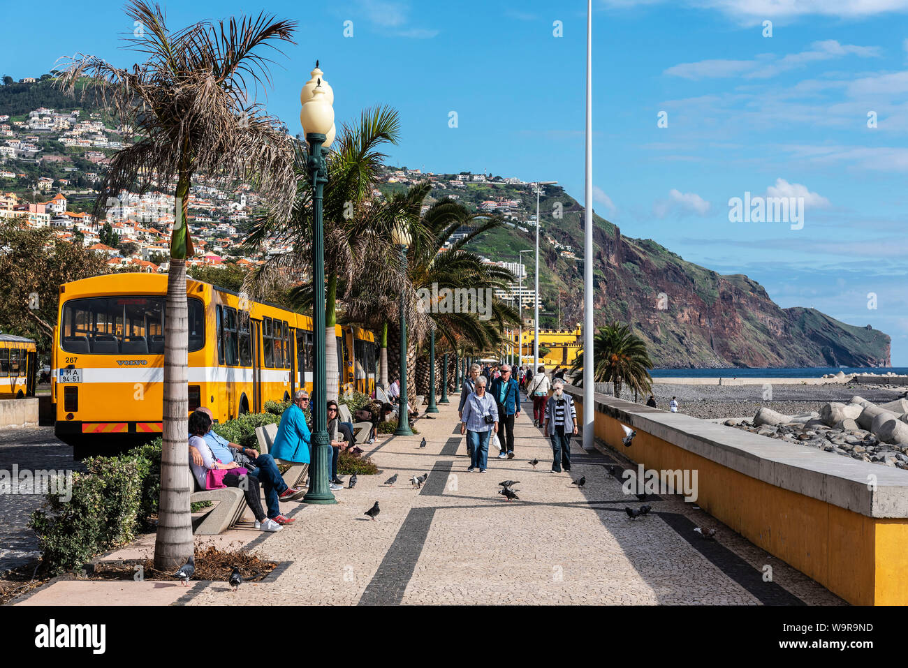 yellow buses, Funchal, Madeira, Portugal Stock Photo