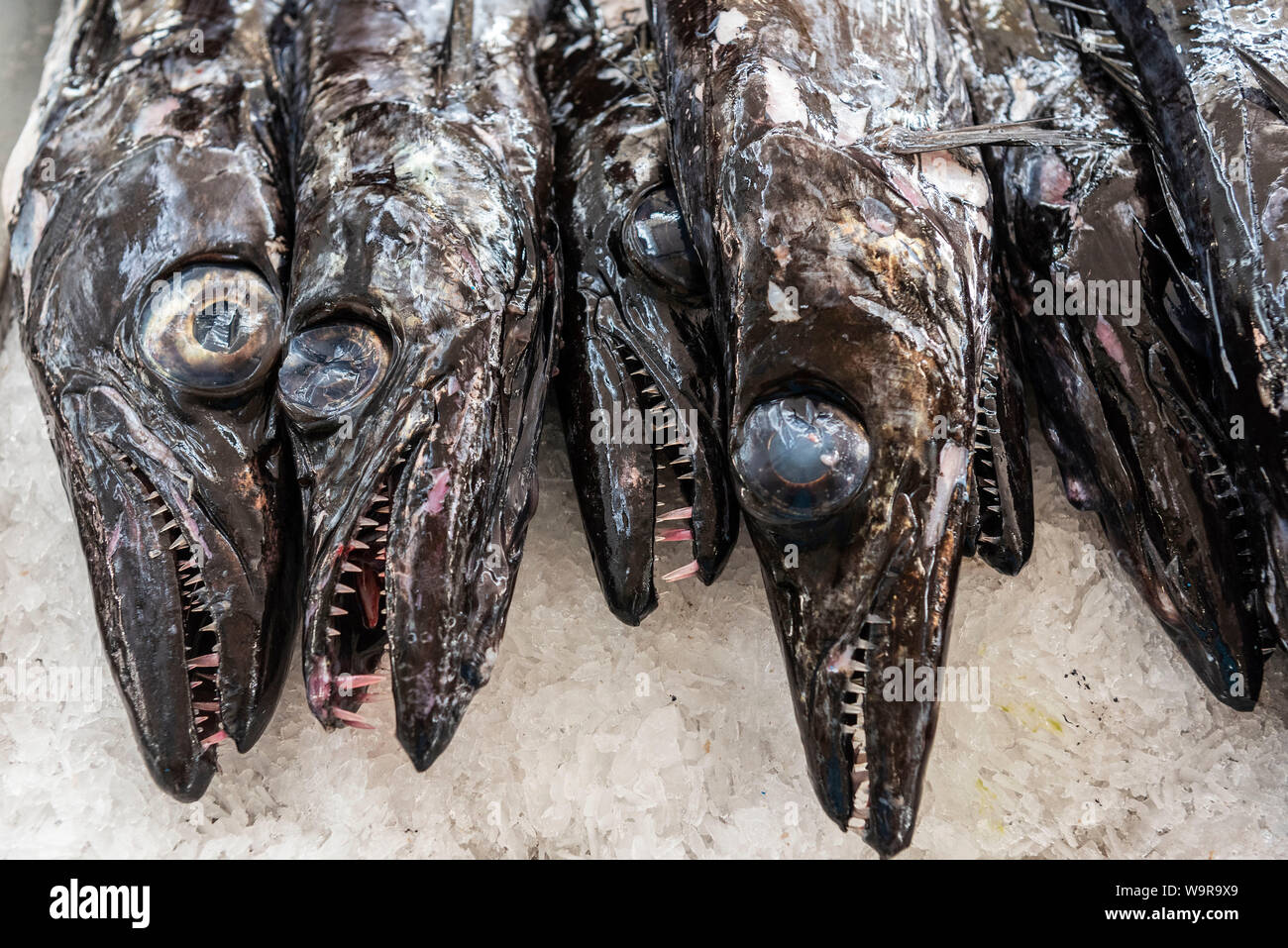 fish market, Funchal, Madeira, Portugal Stock Photo