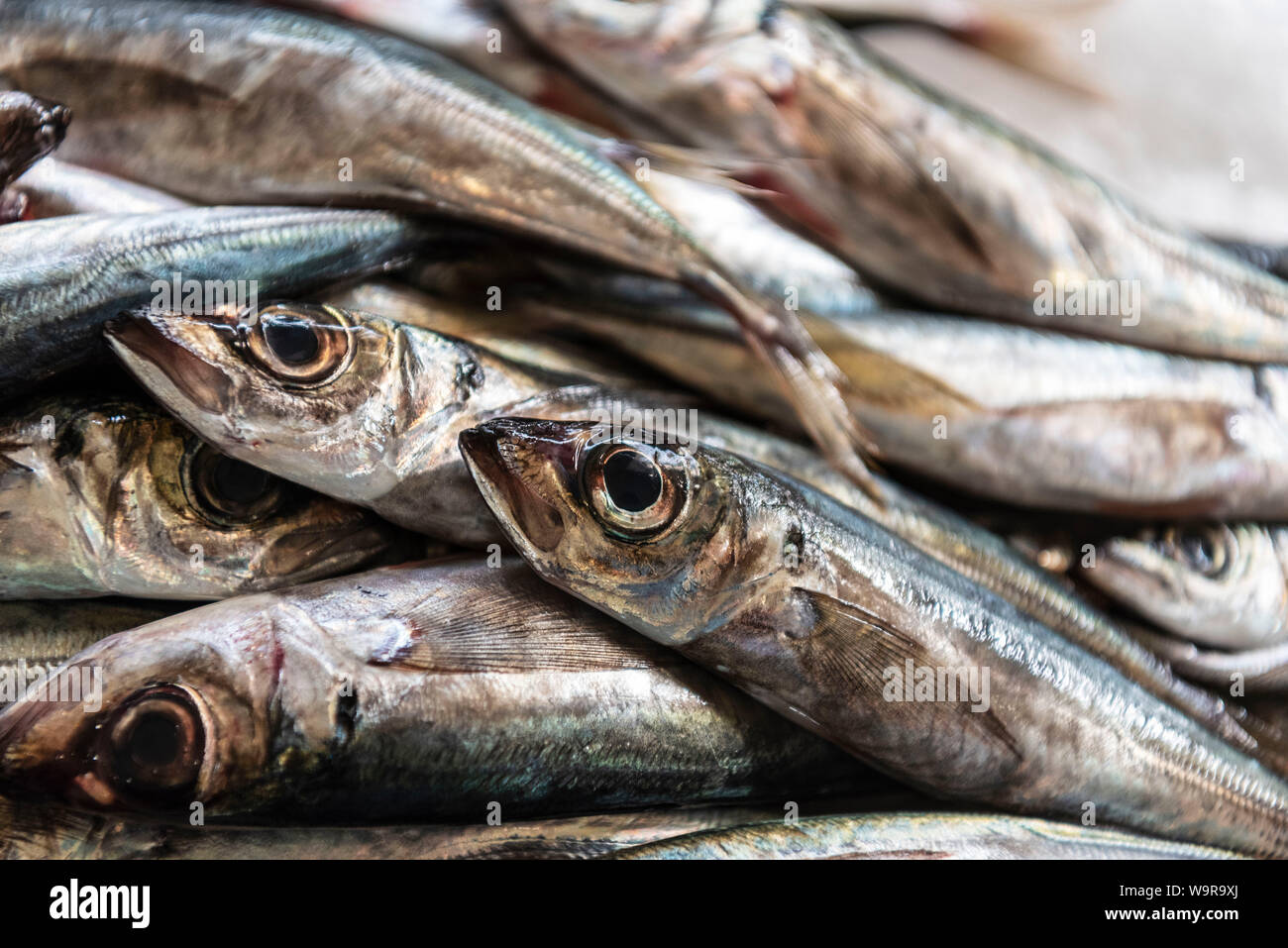fish market, Funchal, Madeira, Portugal Stock Photo